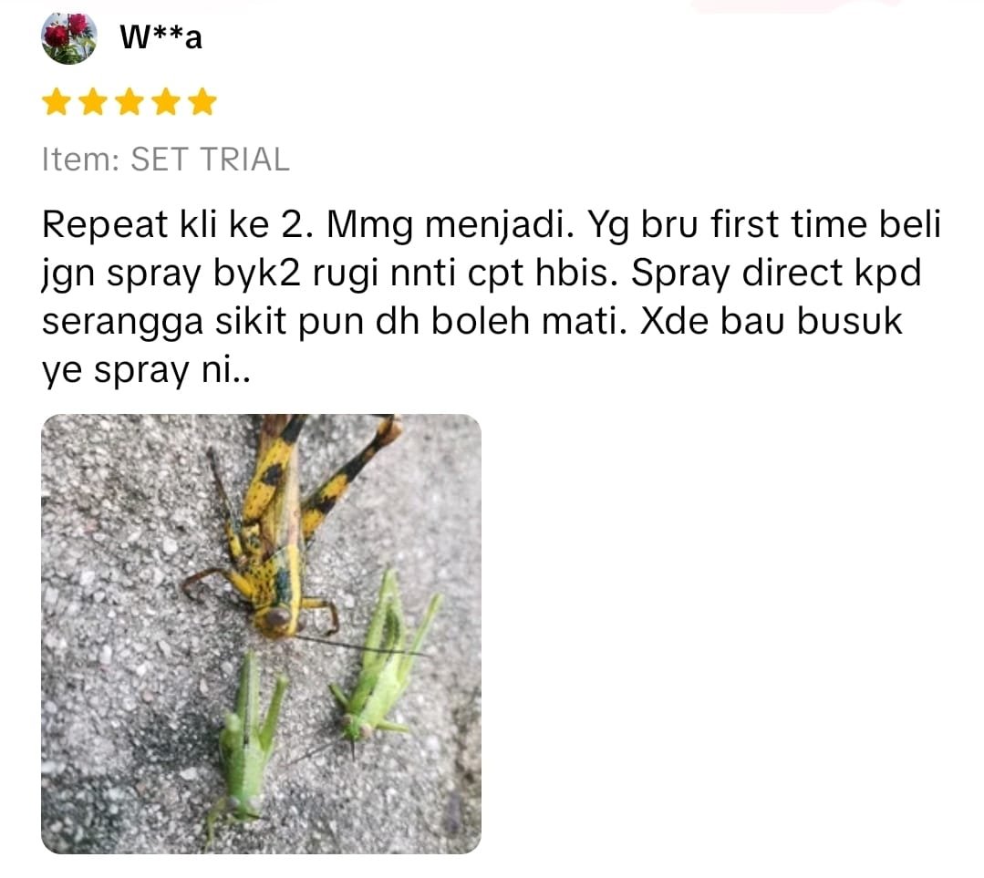 WhatsApp Image 2025-12-10 at 17.17.04