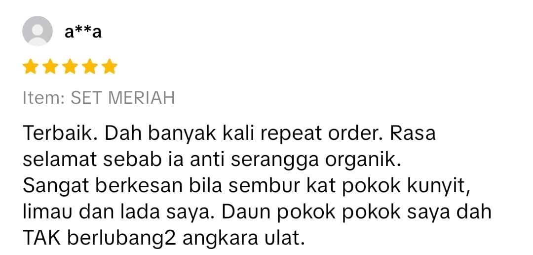 WhatsApp Image 2025-12-10 at 17.17.05